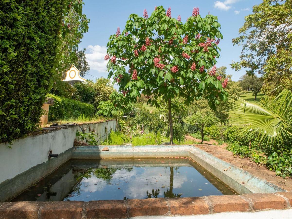 House With Authentic Tiling And Antique Furniture Villa Montemor-o-Novo Buitenkant foto