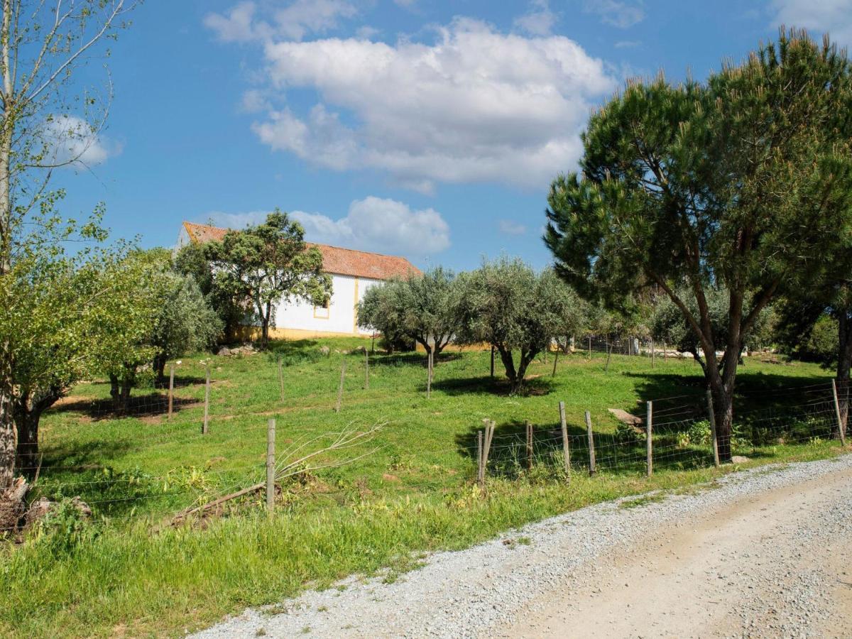 House With Authentic Tiling And Antique Furniture Villa Montemor-o-Novo Buitenkant foto