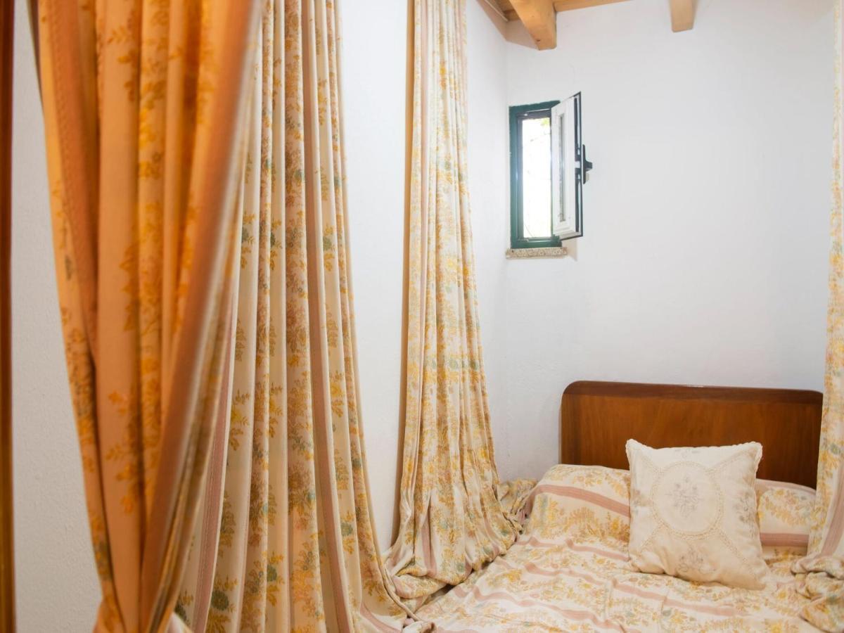 House With Authentic Tiling And Antique Furniture Villa Montemor-o-Novo Buitenkant foto